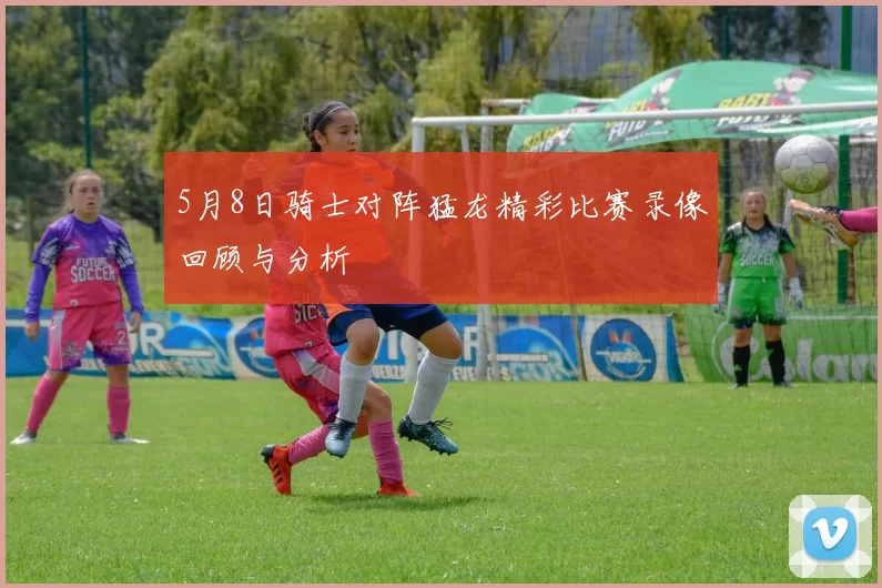 5月8日骑士对阵猛龙精彩比赛录像回顾与分析