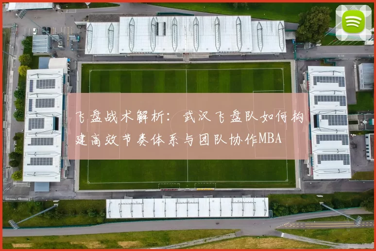飞盘战术解析：武汉飞盘队如何构建高效节奏体系与团队协作MBA